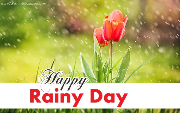 Happy Rainy Day Wishes | Latest Rainy Day Messages