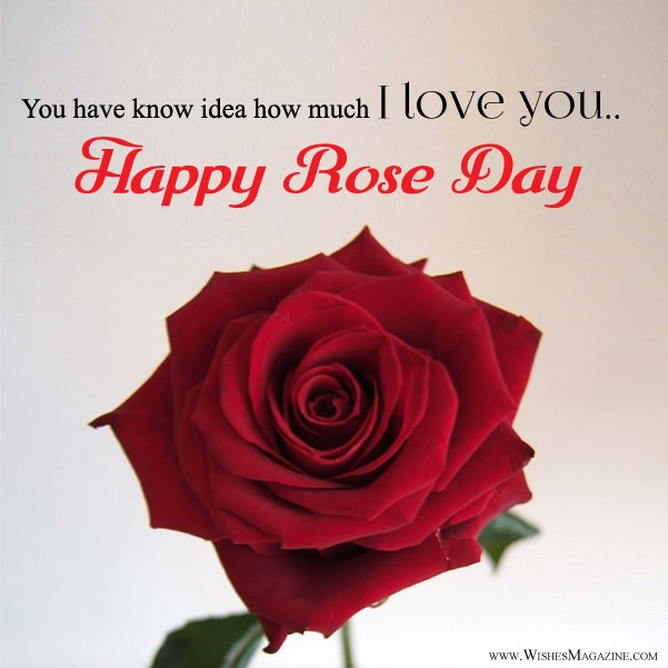 Rose Day Card With I Love You Message
