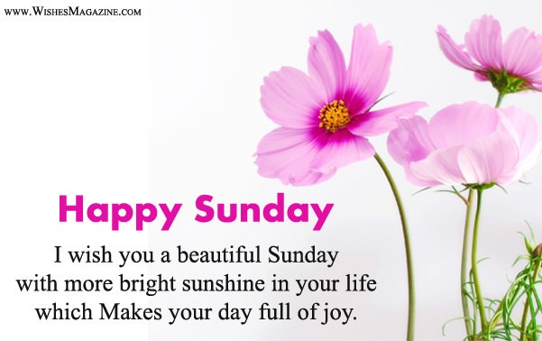 Latest Happy Sunday Wishes Messages - Wishes Magazine