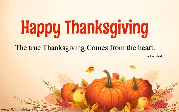 Best Thanksgiving Quotes Sayings Of All Time For Thanksgiving Day